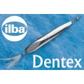 Cucchiaino Dentex mis.0 gr.3 Ilba